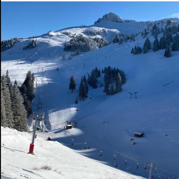 Igloo Ski In Ski Out Thollon-les-Memises Exterior photo